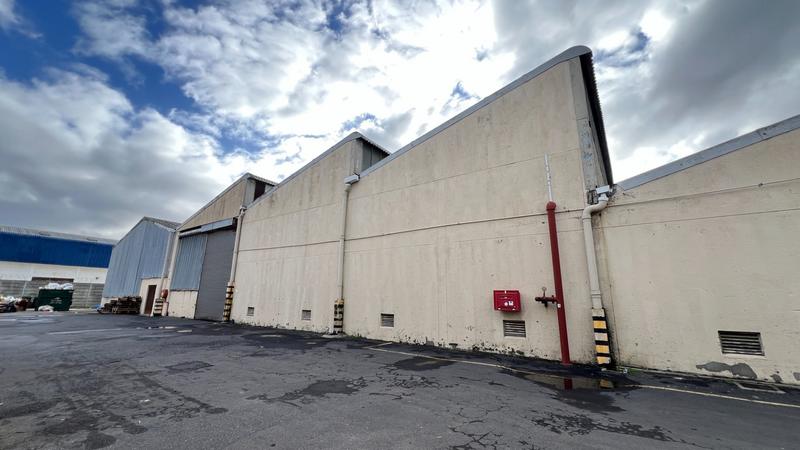 To Let commercial Property for Rent in Epping Industrial Western Cape